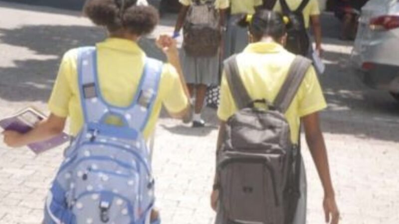 Haïti : deux élèves enlevées avec leur chauffeur à Delmas 75